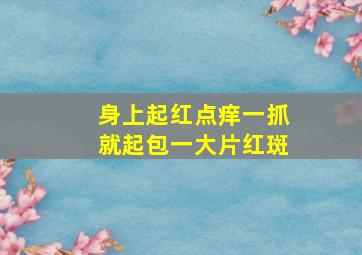 身上起红点痒一抓就起包一大片红斑