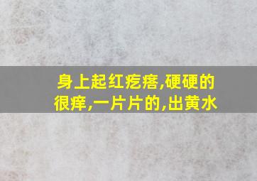 身上起红疙瘩,硬硬的很痒,一片片的,出黄水