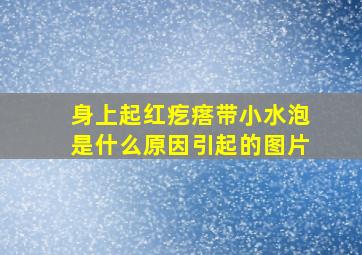 身上起红疙瘩带小水泡是什么原因引起的图片