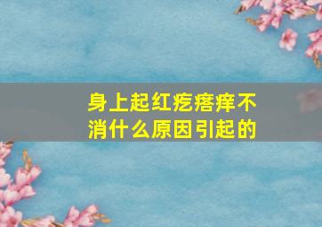 身上起红疙瘩痒不消什么原因引起的