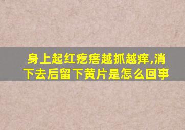 身上起红疙瘩越抓越痒,消下去后留下黄片是怎么回事