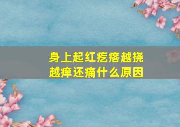 身上起红疙瘩越挠越痒还痛什么原因