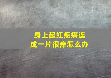 身上起红疙瘩连成一片很痒怎么办