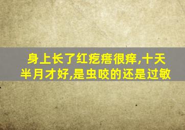 身上长了红疙瘩很痒,十天半月才好,是虫咬的还是过敏