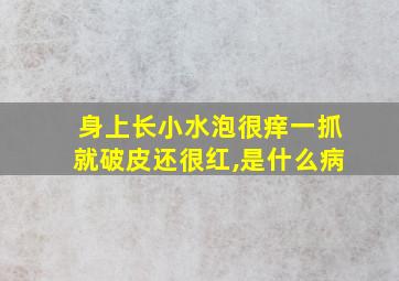 身上长小水泡很痒一抓就破皮还很红,是什么病