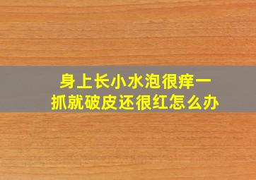 身上长小水泡很痒一抓就破皮还很红怎么办