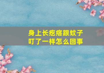 身上长疙瘩跟蚊子叮了一样怎么回事