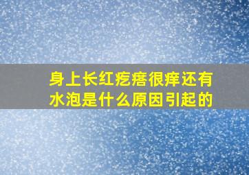 身上长红疙瘩很痒还有水泡是什么原因引起的