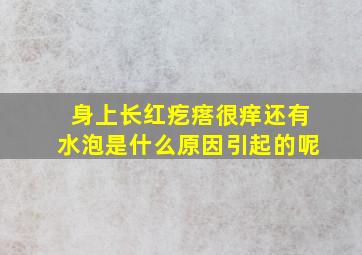 身上长红疙瘩很痒还有水泡是什么原因引起的呢