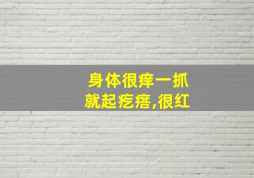 身体很痒一抓就起疙瘩,很红