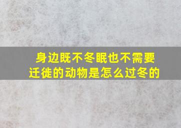 身边既不冬眠也不需要迁徙的动物是怎么过冬的