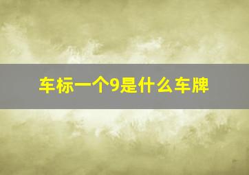 车标一个9是什么车牌