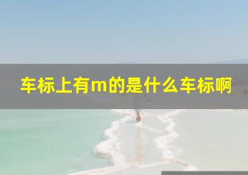 车标上有m的是什么车标啊