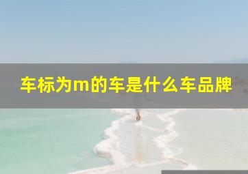 车标为m的车是什么车品牌