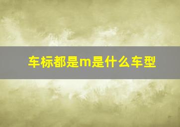 车标都是m是什么车型