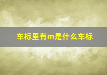 车标里有m是什么车标