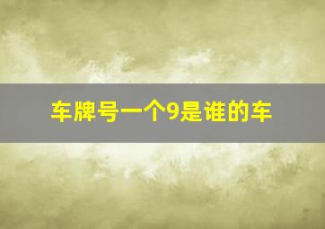 车牌号一个9是谁的车