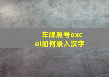 车牌照号excel如何录入汉字