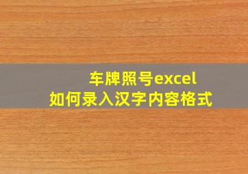 车牌照号excel如何录入汉字内容格式