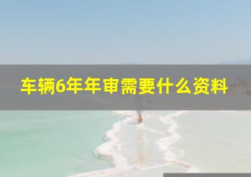 车辆6年年审需要什么资料