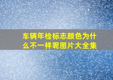 车辆年检标志颜色为什么不一样呢图片大全集