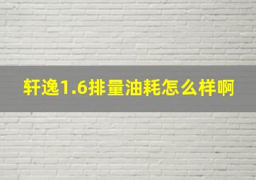 轩逸1.6排量油耗怎么样啊