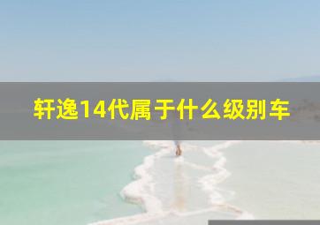 轩逸14代属于什么级别车