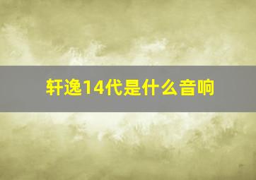 轩逸14代是什么音响