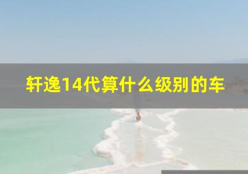 轩逸14代算什么级别的车