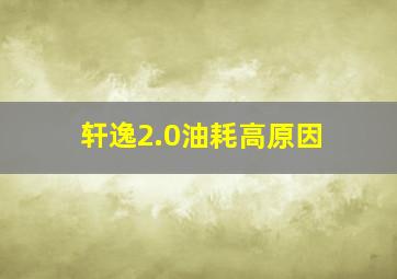 轩逸2.0油耗高原因