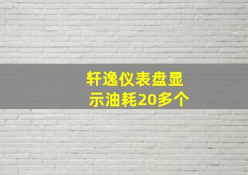 轩逸仪表盘显示油耗20多个