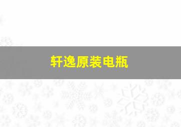 轩逸原装电瓶