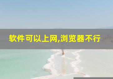 软件可以上网,浏览器不行