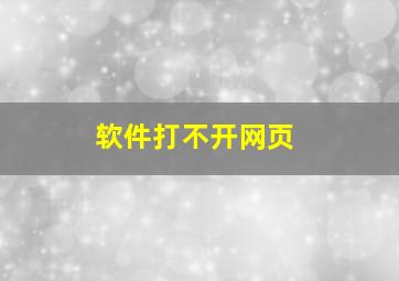 软件打不开网页