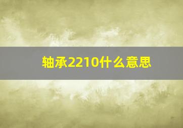 轴承2210什么意思