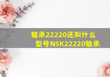 轴承22220还叫什么型号NSK22220轴承