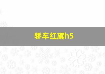 轿车红旗h5