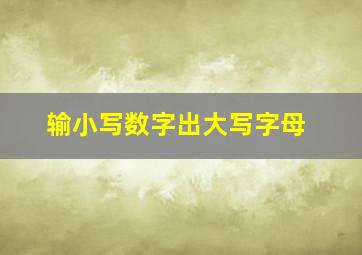 输小写数字出大写字母