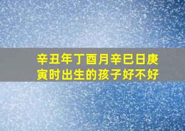 辛丑年丁酉月辛巳日庚寅时出生的孩子好不好