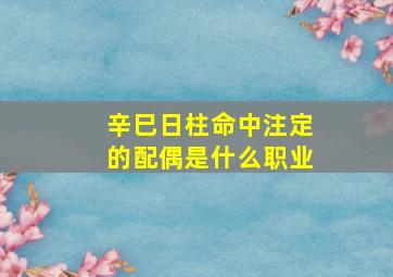 辛巳日柱命中注定的配偶是什么职业