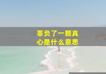 辜负了一颗真心是什么意思