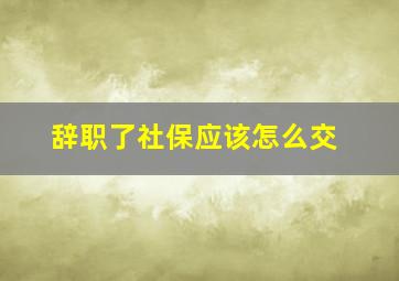 辞职了社保应该怎么交