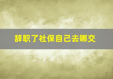 辞职了社保自己去哪交