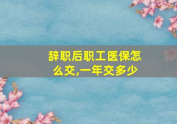 辞职后职工医保怎么交,一年交多少