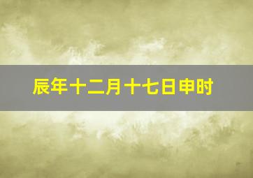 辰年十二月十七日申时