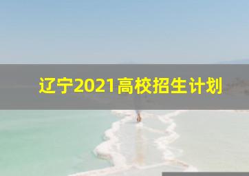 辽宁2021高校招生计划