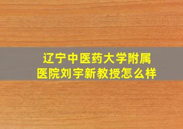 辽宁中医药大学附属医院刘宇新教授怎么样