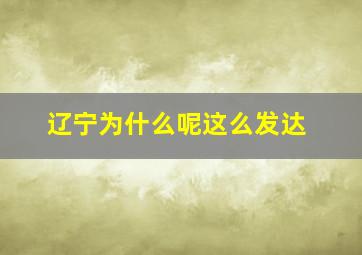 辽宁为什么呢这么发达