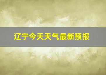 辽宁今天天气最新预报