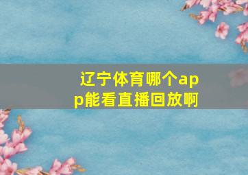 辽宁体育哪个app能看直播回放啊